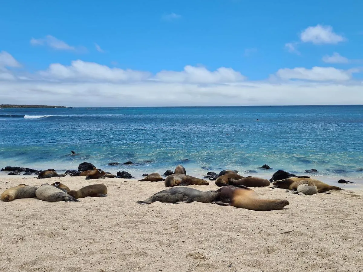 Hotel Indigo - Galapagos By Ihg Puerto Baquerizo Moreno