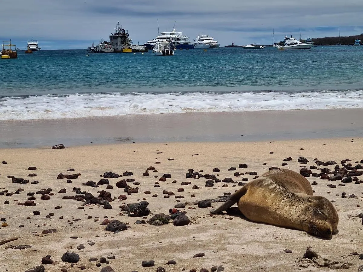 Hotel Indigo - Galapagos By Ihg Puerto Baquerizo Moreno